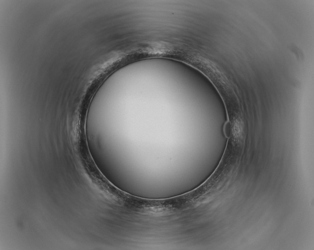 X0000113000540200908271350