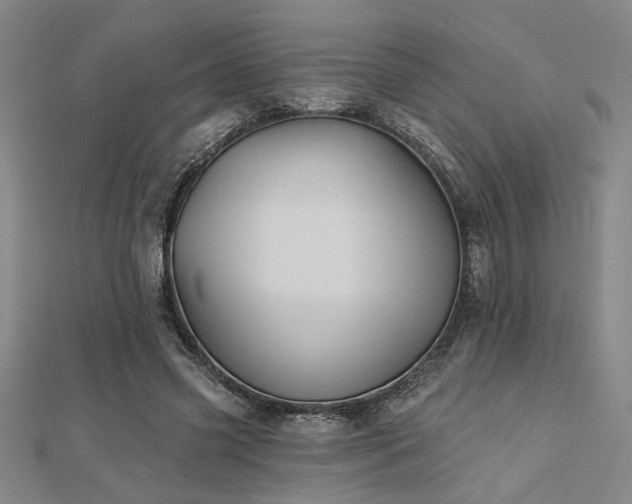 X0000113000541200908271350