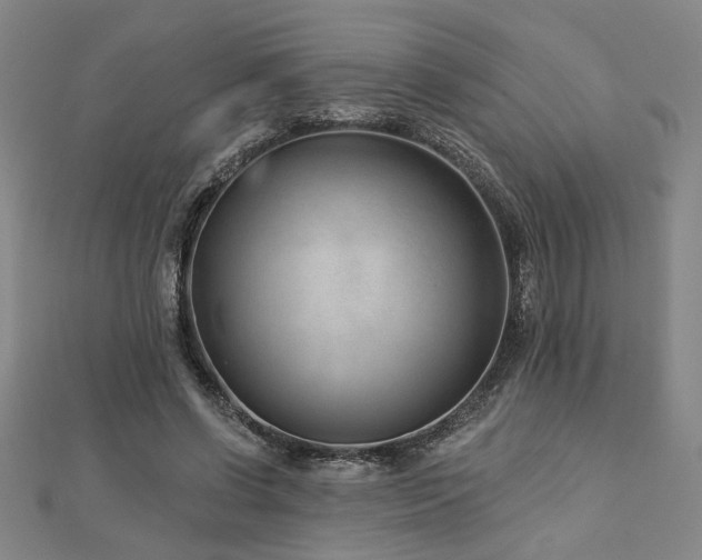 X0000113000542200908271350