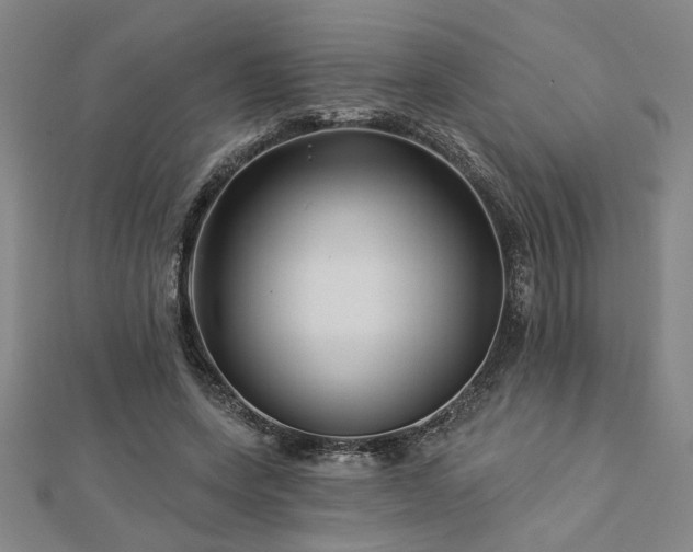 X0000113000543200908271350