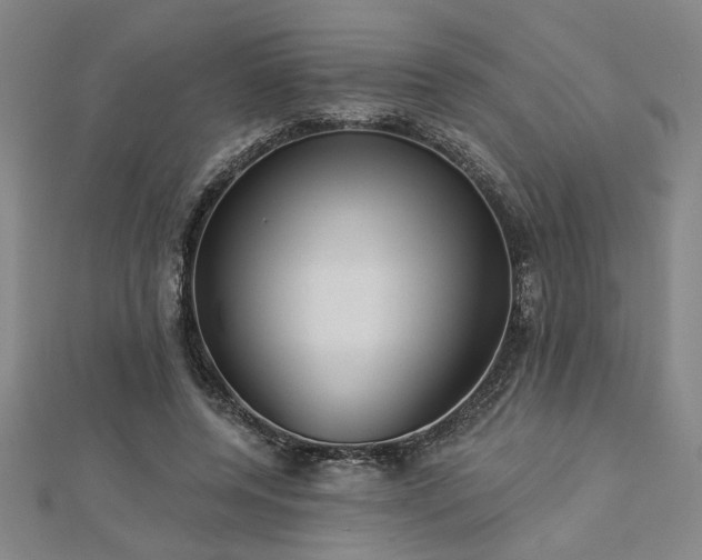 X0000113000544200908271350