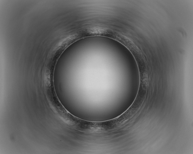X0000113000547200908271350