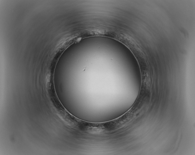 X0000113000548200908271350
