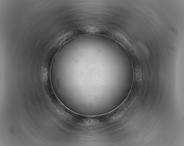 X0000113000549200908271350