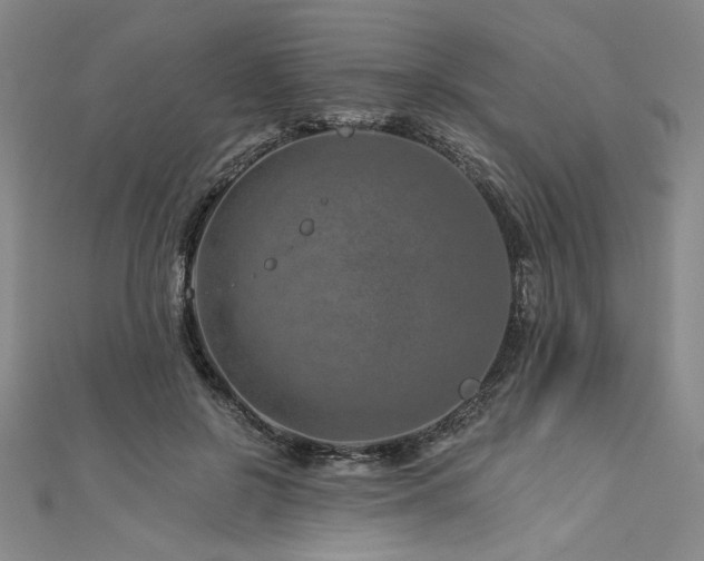 X0000113000550200908271350