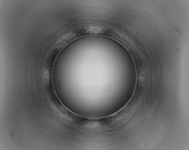 X0000113000551200908271350