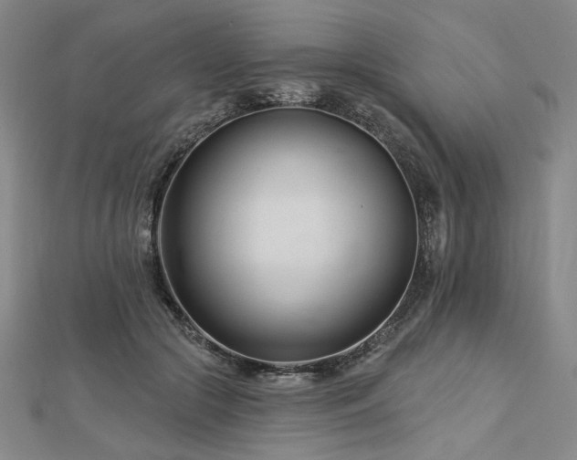 X0000113000553200908271350
