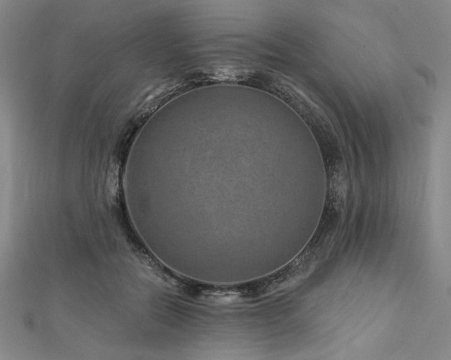 X0000113000554200908271350