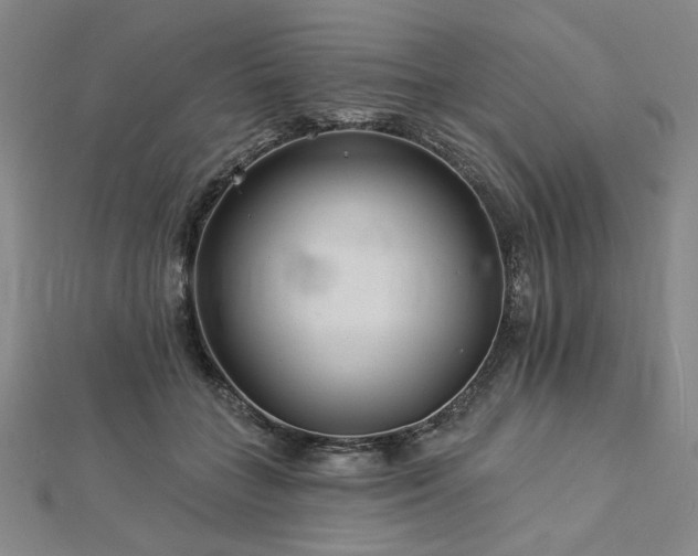 X0000113000555200908271350