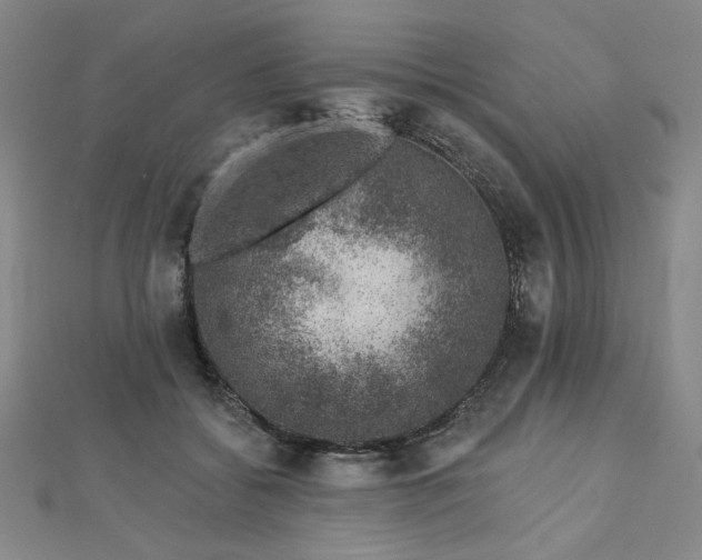 X0000113000556200908271350