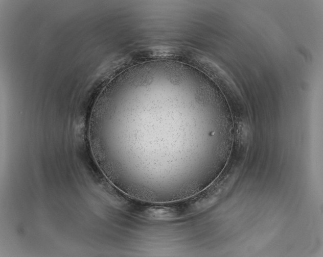 X0000113000557200908271350