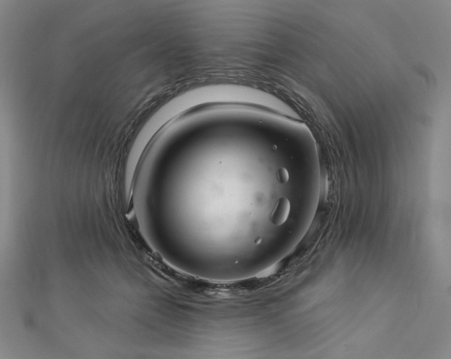 X0000113000558200908271350