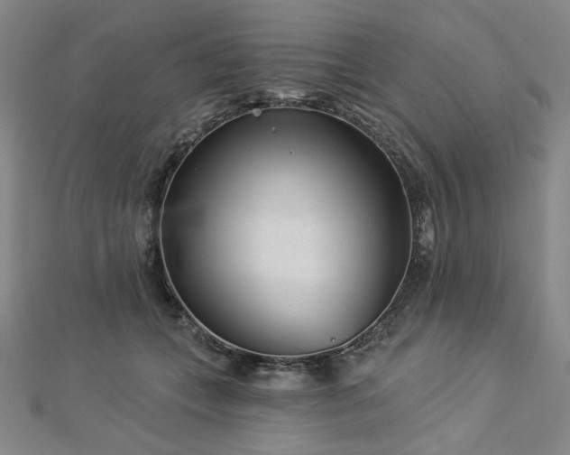 X0000113000559200908271350