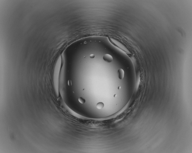 X0000113000560200908271350