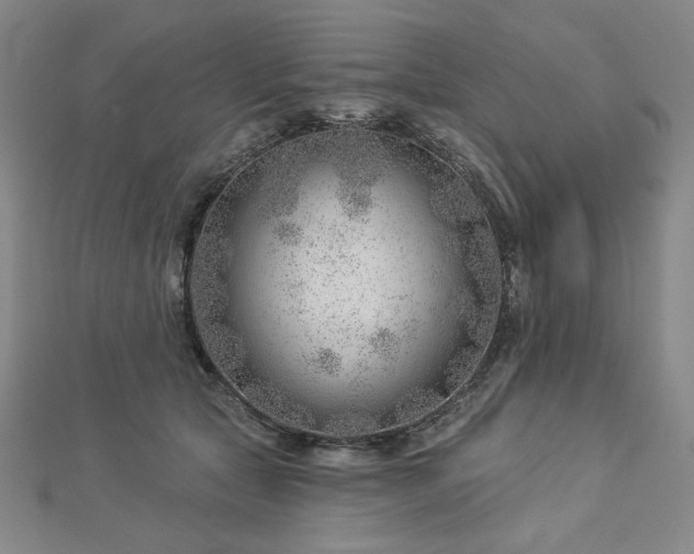 X0000113000561200908271350