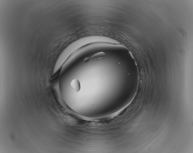 X0000113000562200908271350