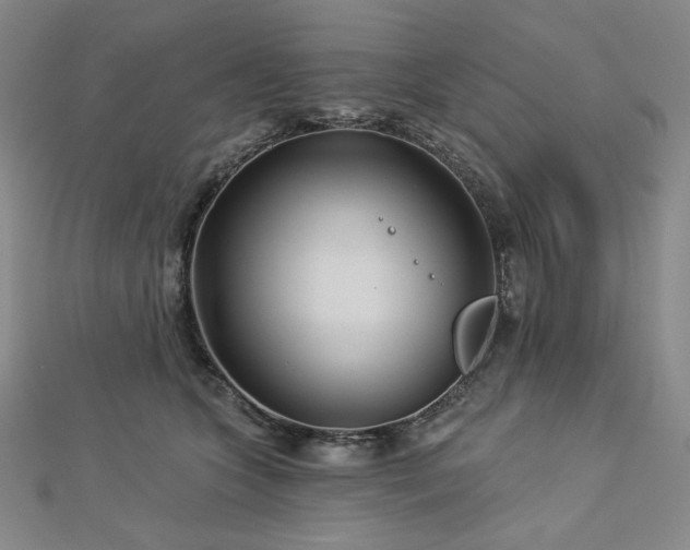 X0000113000563200908271350
