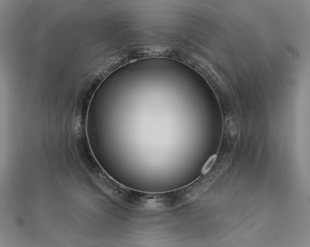 X0000113000564200908271350