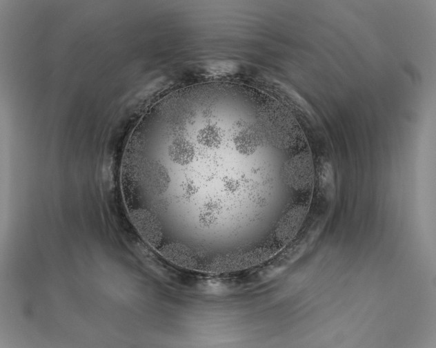 X0000113000565200908271350