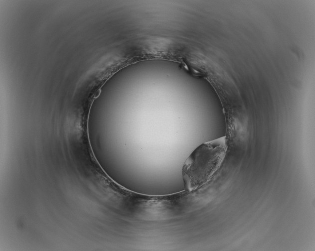 X0000113000566200908271350