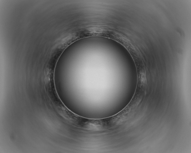 X0000113000567200908271350