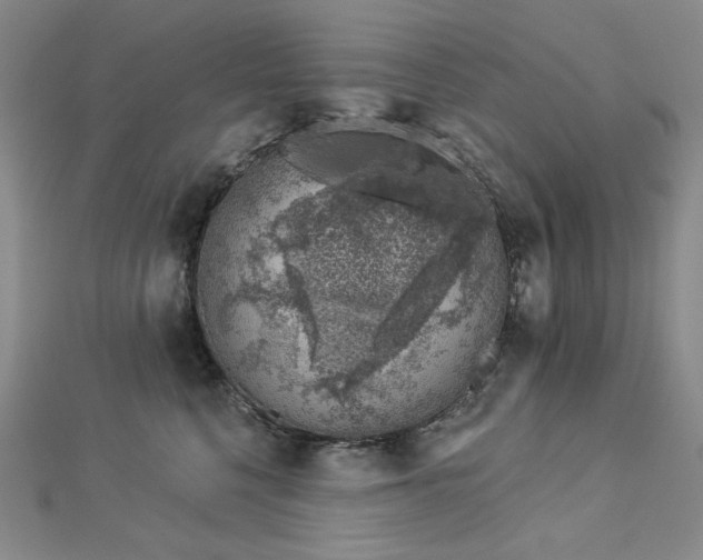 X0000113000568200908271350
