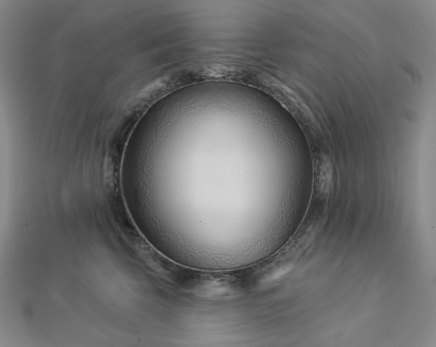 X0000113000569200908271350