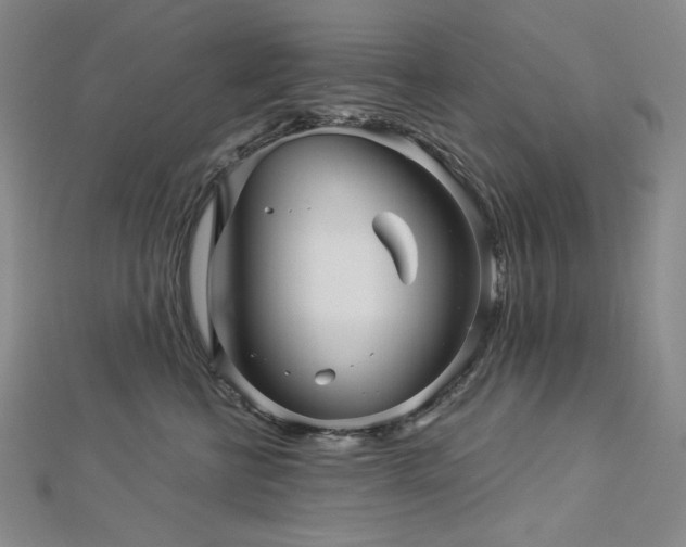 X0000113000570200908271350