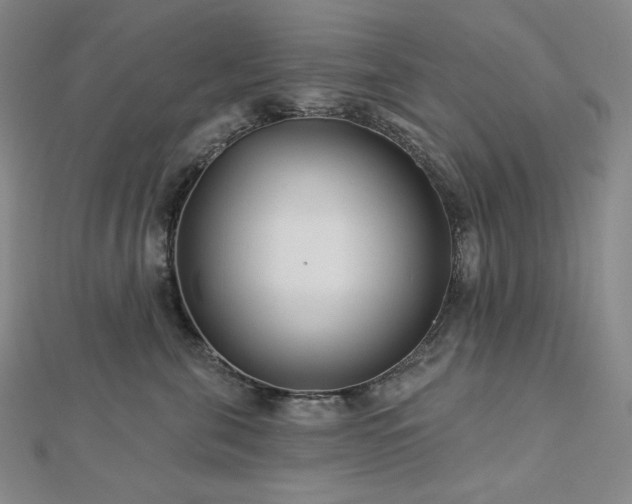 X0000113000571200908271350