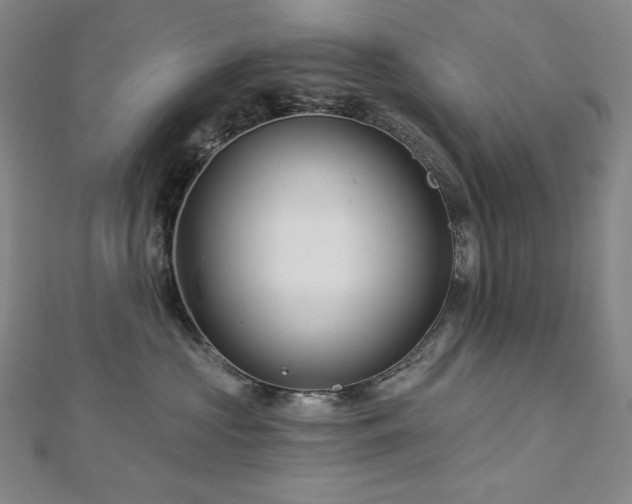 X0000113000573200908271350