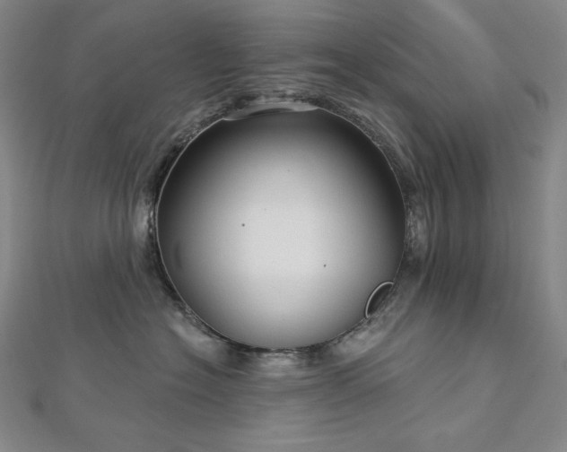 X0000113000574200908271350