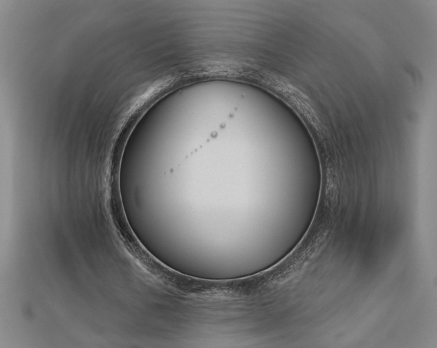 X0000113000578200908271349