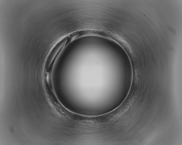 X0000113000580200908271349