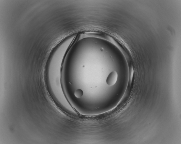 X0000113000581200908271349