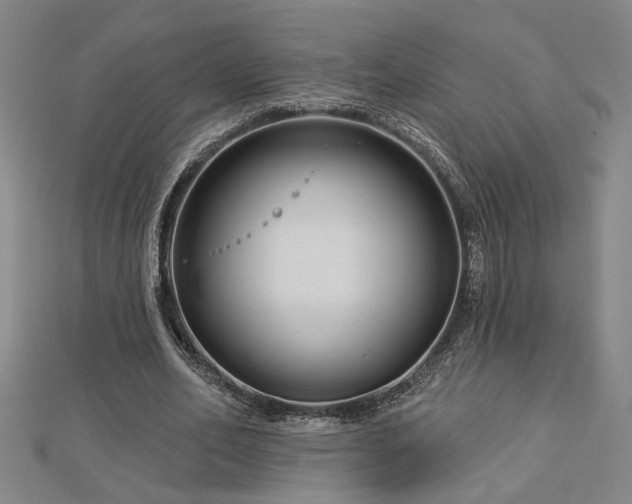 X0000113000582200908271349