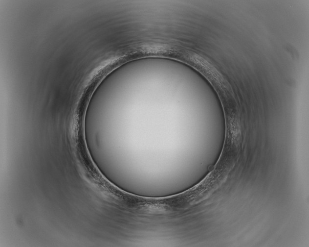 X0000113000583200908271349