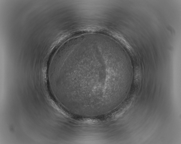 X0000113000585200908271349