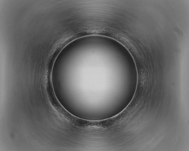 X0000113000586200908271349