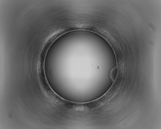 X0000113000587200908271349