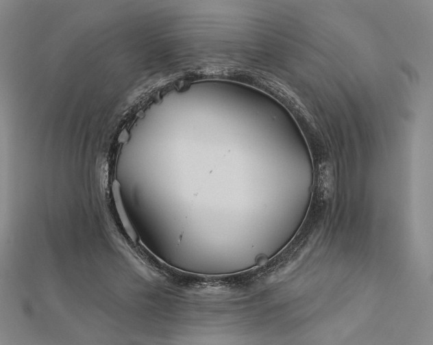 X0000113000589200908271349