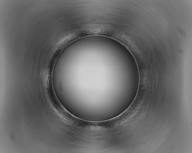 X0000113000590200908271349