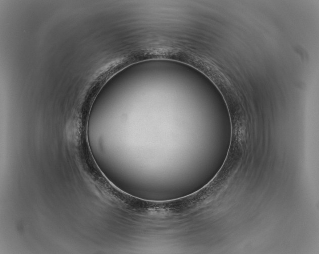 X0000113000591200908271349