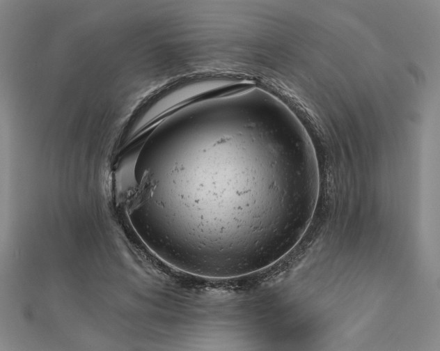 X0000113000592200908271349