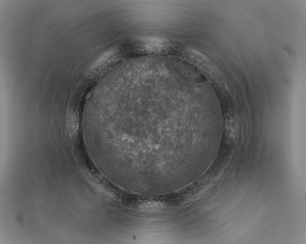 X0000113000593200908271349