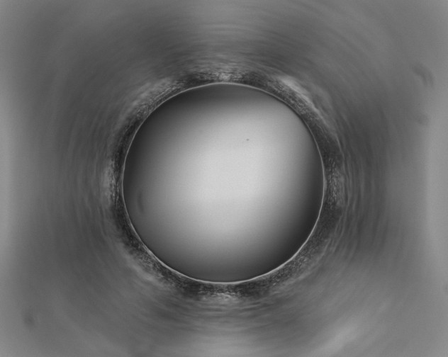 X0000113000594200908271349