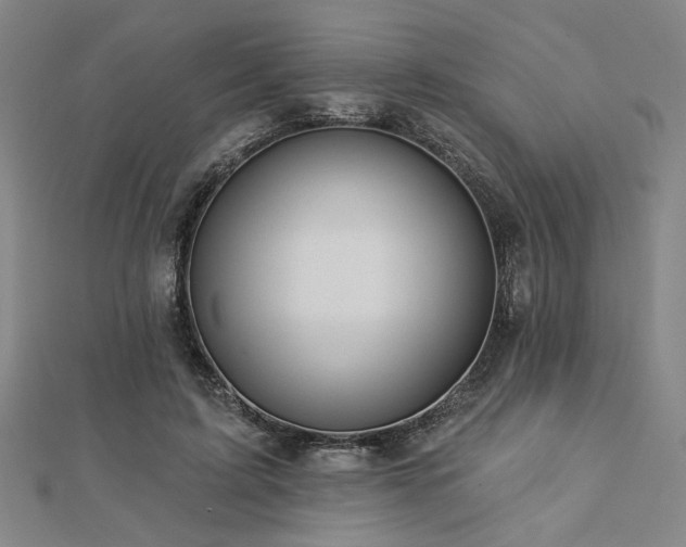 X0000113000595200908271349