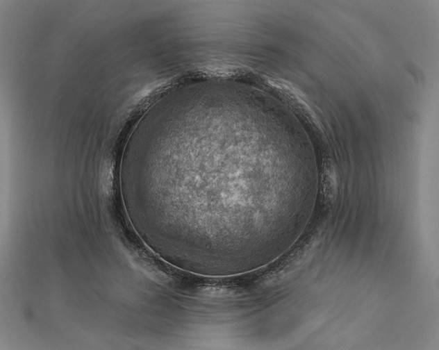 X0000113000596200908271349
