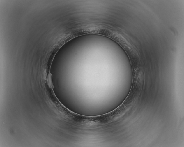 X0000113000597200908271349