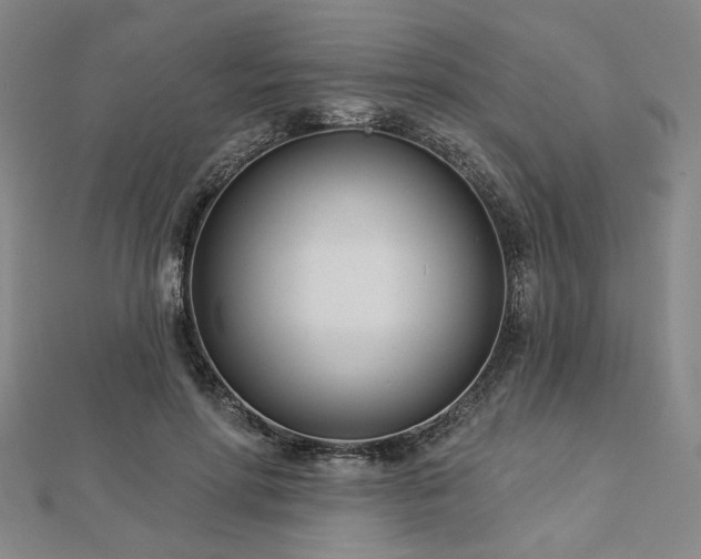 X0000113000598200908271349