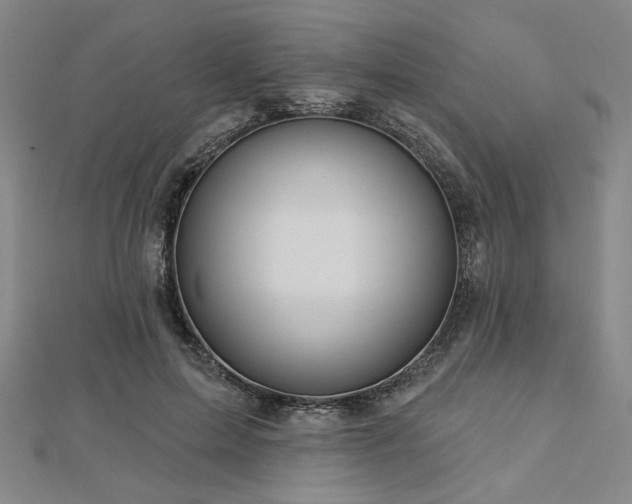 X0000113000599200908271349